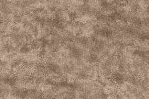 Ковролин AW Cantate 40 фото  | FLOORDEALER